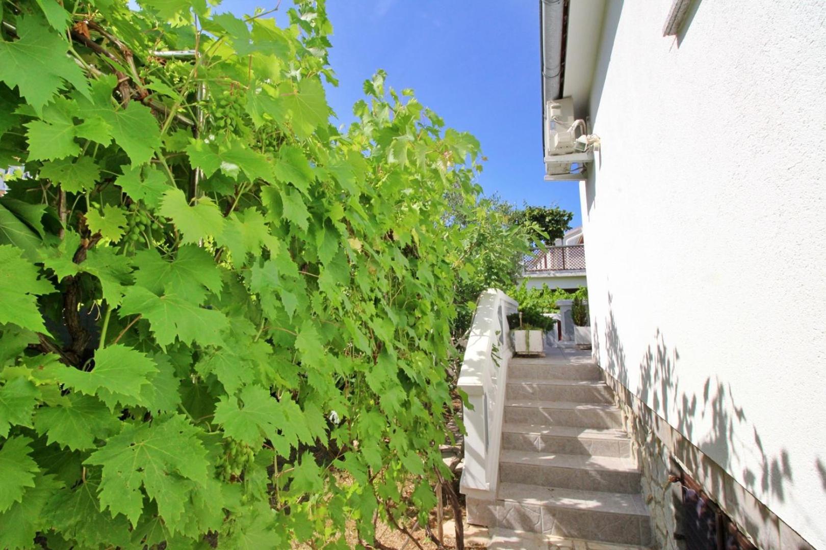 Apartments Zlatica Šilo Buitenkant foto